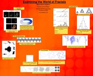 Examining the World of Fractals