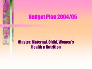 Budget Plan 2004/05