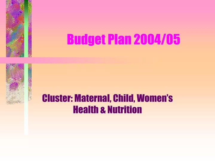 budget plan 2004 05