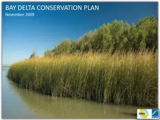 BAY DELTA CONSERVATION PLAN November 2009