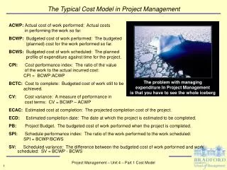 The Typical Cost Model in Project Management