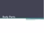 Body Parts - slide 1