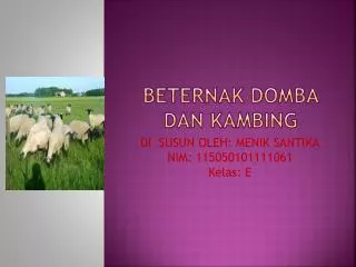 beternak domba dan kambing