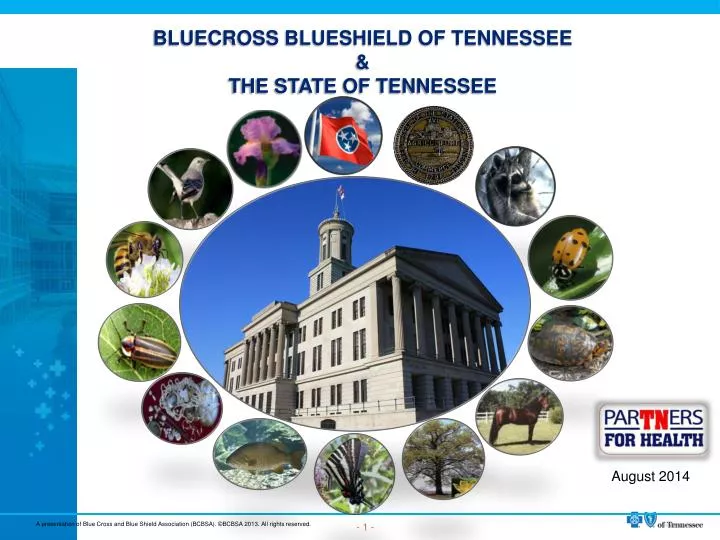 bluecross blueshield of tennessee the state of tennessee