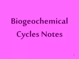 Biogeochemical Cycles Notes