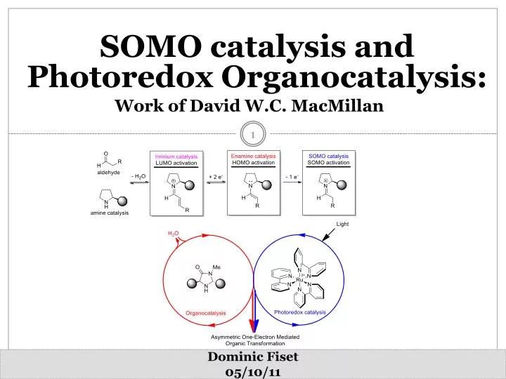 somo catalysis and