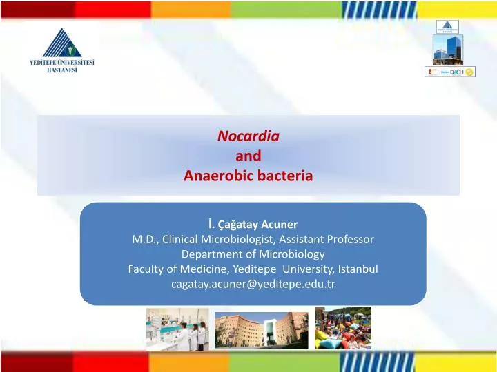 nocardia and an aerobic bacteria