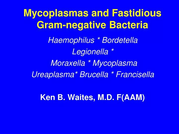 mycoplasmas and fastidious gram negative bacteria
