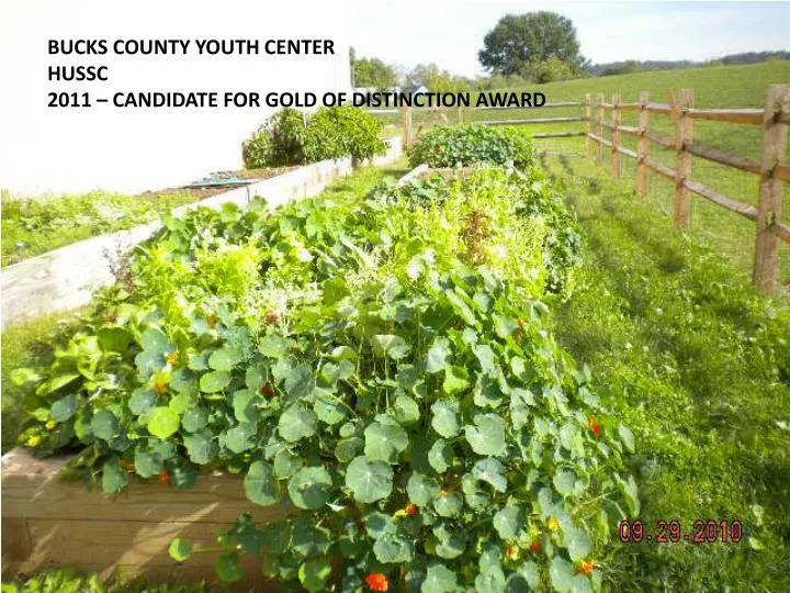 bucks county youth center hussc 2011 candidate for gold of distinction award