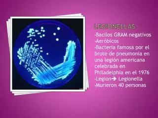 legionellas