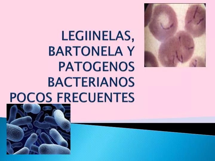legiinelas bartonela y patogenos bacterianos pocos frecuentes