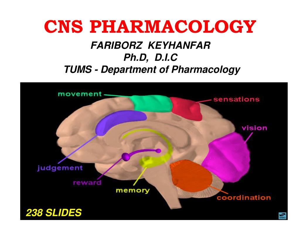 PPT - CNS PHARMACOLOGY PowerPoint Presentation, free download - ID:3813460