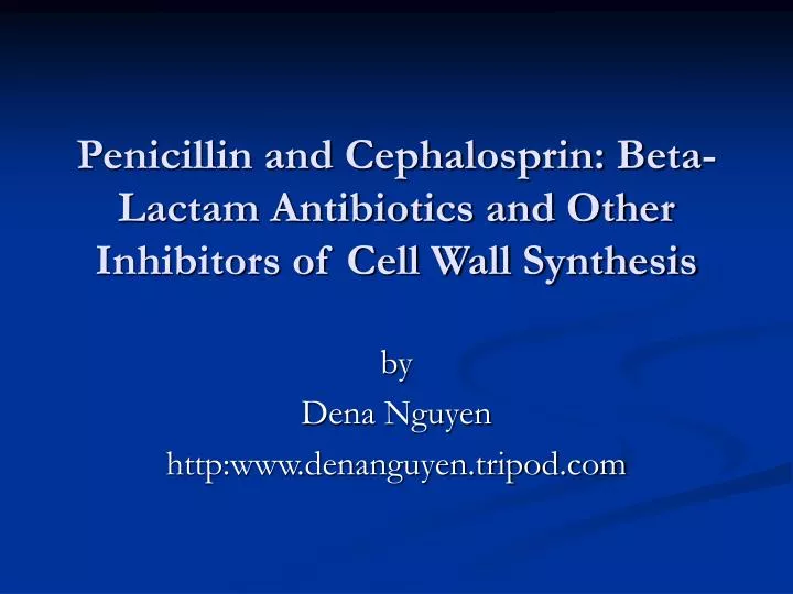 penicillin and cephalosprin beta lactam antibiotics and other inhibitors of cell wall synthesis