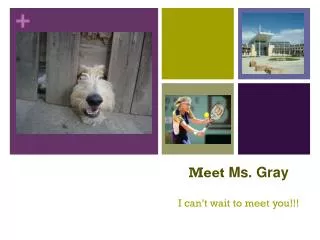 Meet Ms. Gray