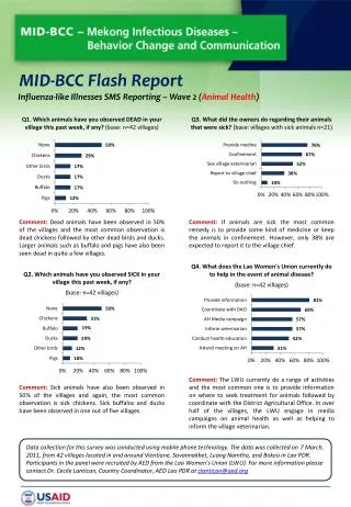 MID-BCC Flash Report