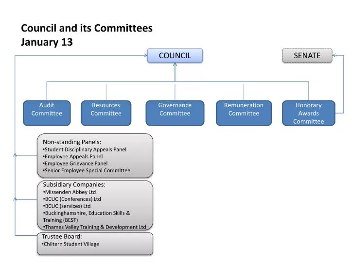 council and its committees january 13