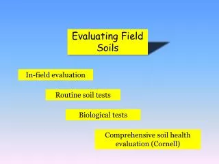 Evaluating Field Soils