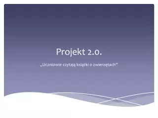 projekt 2 0