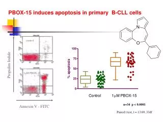 PBOX-15 induces apoptosis in primary B-CLL cells