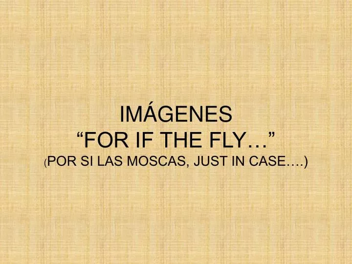 im genes for if the fly por si las moscas just in case
