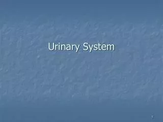urinary system