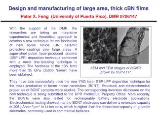 SEM and TEM images of BCNTs grown by SSP?LPP.