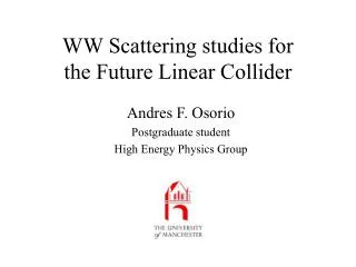 WW Scattering studies for the Future Linear Collider