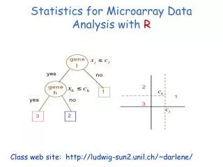 Statistics for Microarray Data Analysis with R