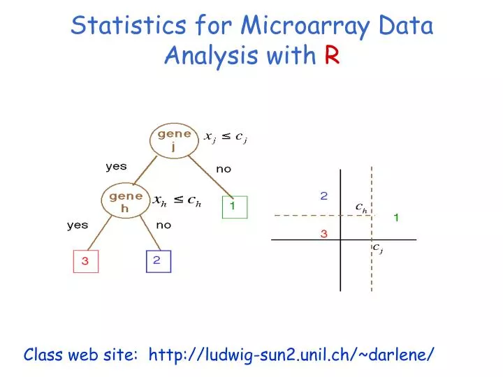 statistics for microarray data analysis with r