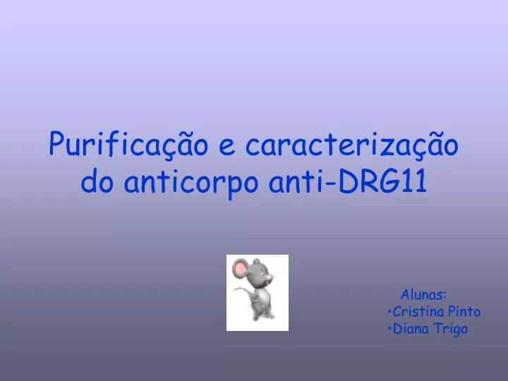 purifica o e caracteriza o do anticorpo anti drg11