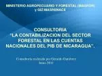 CONSULTORIA - slide 1