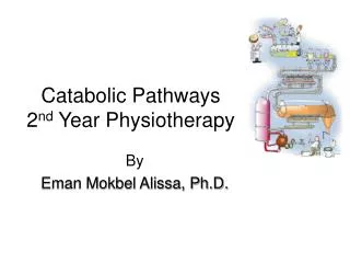 Catabolic Pathways 2 nd Year Physiotherapy