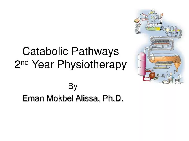 catabolic pathways 2 nd year physiotherapy