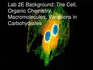 Lab 2E Background: The Cell, Organic Chemistry, Macromolecules, Variations in Carbohydrates