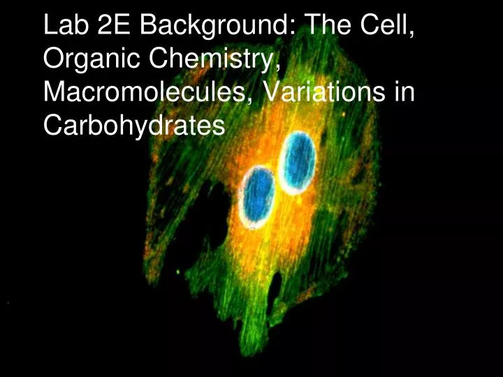 lab 2e background the cell organic chemistry macromolecules variations in carbohydrates