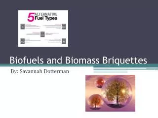 Biofuels and Biomass Briquettes
