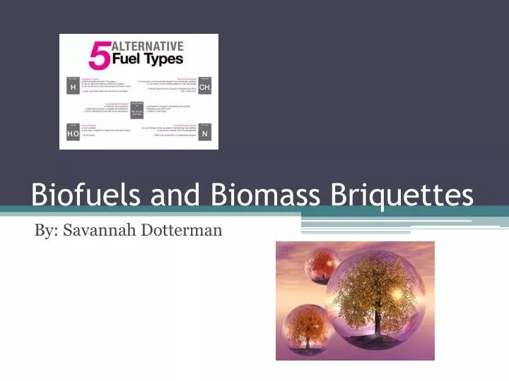 biofuels and biomass briquettes