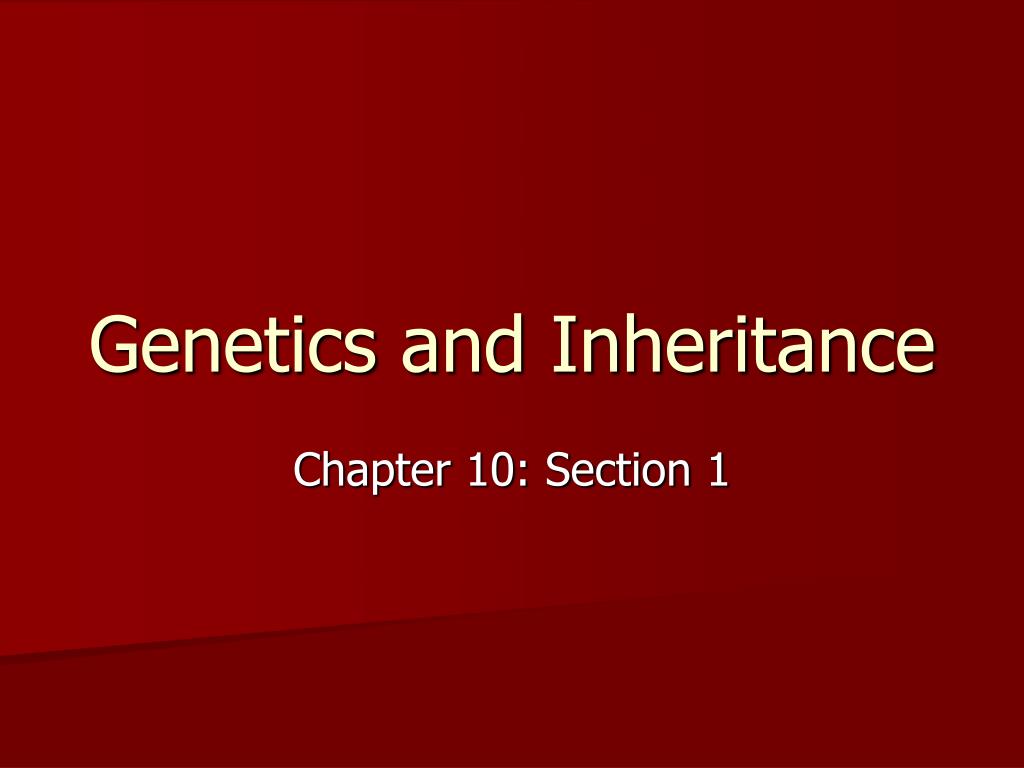 PPT - Understanding Genetics and Inheritance: Exploring Traits and ...