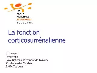 la fonction corticosurr nalienne