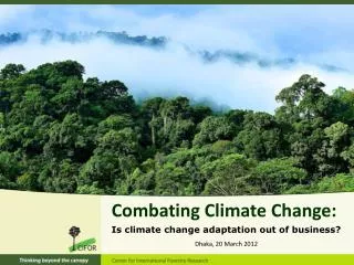 Combating Climate Change: Is climate change adaptation out of business?