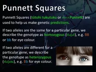 Punnett Squares