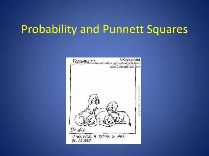 probability and punnett squares