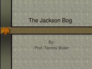 The Jackson Bog