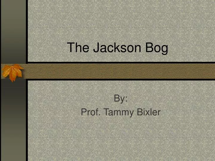 the jackson bog