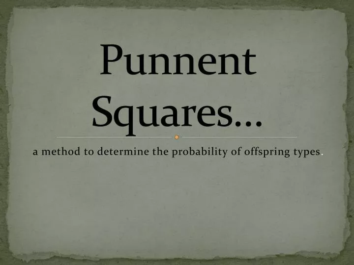 punnent squares