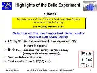 Highlights of the Belle Experiment