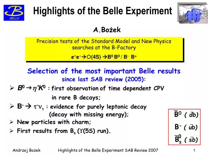 highlights of the belle experiment