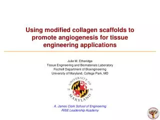 Using modified collagen scaffolds to promote angiogenesis for tissue engineering applications