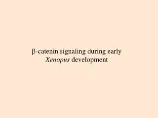 b -catenin signaling during early Xenopus development