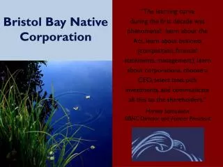 Bristol Bay Native Corporation